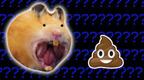 scat xxx|Poo Hamster